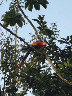 Hotel la montaña el trogon - 0