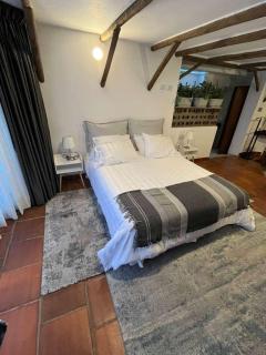 Suite del hotel Blau - 2