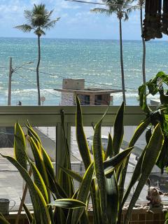 Encantos da linda praia de boa viagem - 0