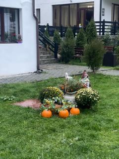 Casa Maria Moieciu C - 6