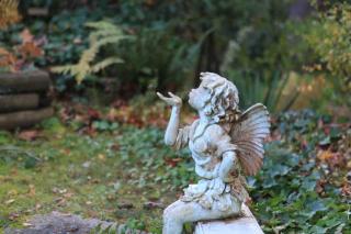 Langley Mid-Century Meets Modern Retreat - 0