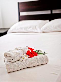 Madonna Pool Beach los Corales - 6