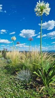 Podere La Gualda Vecchia alloggi di charme immersi nel Giardino Emozionale outdoor SPA - 1