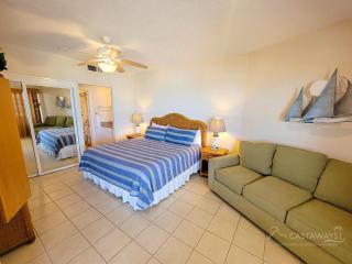 Sonoran Spa E505 - 2