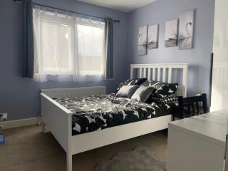 Modern luxurious spacious house in London Brixton - 2