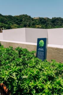 NEW Cozy&Modern Apt 30min from SurfCity - 4