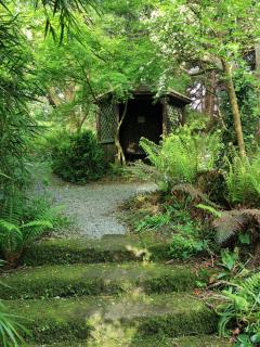 Kilmokea Coach House - 9