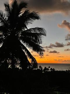 LATINoAMÉRICA I Casa Bucólica I Maceió I Nordeste Brasileiro - 2