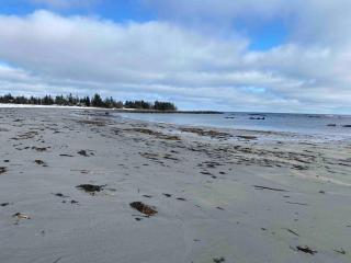 Puddin' Pan Cozy Beach Cottage on Ocean - 4