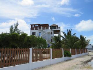 Palm Life Belize - 5