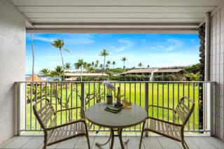 Napili Shores H261 - 8