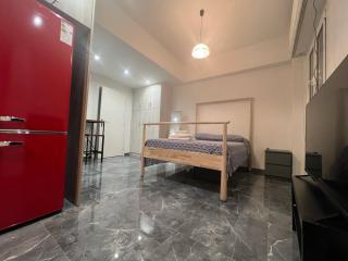 Princeps De Cura Suite - 9