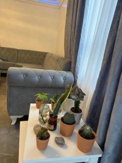 Beautiful apartment in Camden - 1