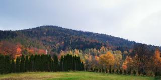 JAWORNICA HOUSE domek z pięknym widokiem - 8