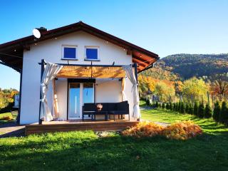 JAWORNICA HOUSE domek z pięknym widokiem - 9