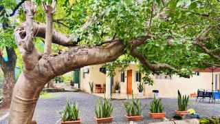 Hostal Camila’s - 5