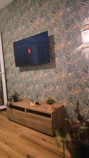 Appartement Belsol Ambiance tropicale et détente - 5