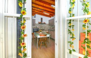 Pet Friendly Home In Augusta - 5