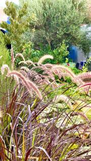 La Maison Bleue de campagne - 1