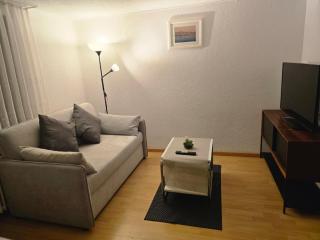 Central studio apartment stgallen gratis Parkplatz - 7
