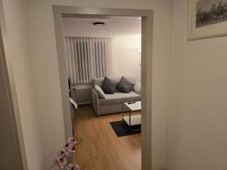 Central studio apartment stgallen gratis Parkplatz - 9