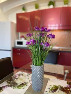 Мост сити АПП 52 Джакузи - 7