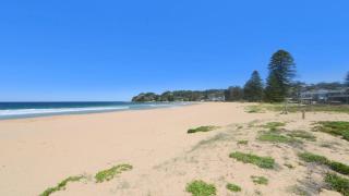 Oceanside - Pet Friendly Beachside Accommodation - Avoca Beach - 3
