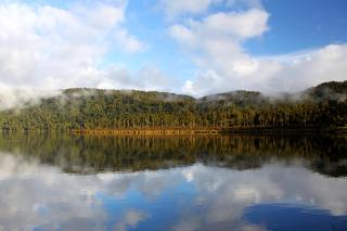 Wilderness Lodge Lake Moeraki - 8