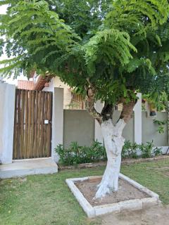 Casa Di Mainha Cumuru - varanda com vista pro mar - 1