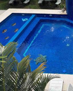 Casa Greengo's Playa Matanchen - 5