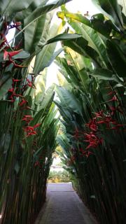 The Sawah Lodge, Seseh-Bali - 9