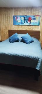 Cabañas La Patagona y el Chilote - 6