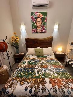 Bucerias Beauty by sport park east side walk to beach - 3