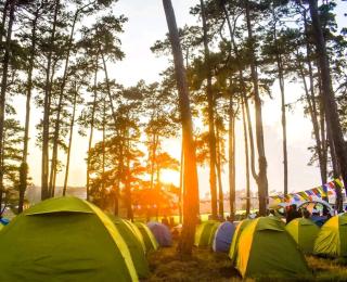 Camp Wildnest Adventures Dambuk - 1