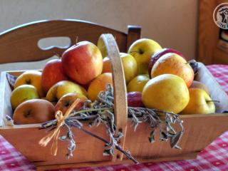 Gîte paisible 5 pers, animaux admis, Provence - FR-1-496-102 - Fontanès - 1