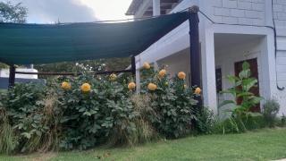 Cabañas El Nogal - 4