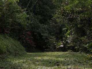 Hospedaje Oropéndola - 9