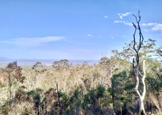 The Summit Sanctuary at Mountain Heart Retreat by Tiny Away - 7