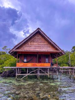 THE Drift Wood House - 2