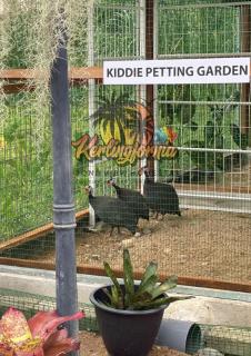 Kerlingfornia Pond View Homestay and Farmstead - 1