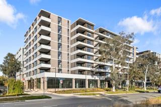 Bright 1BR Apartment in the heart of Dickson - 4