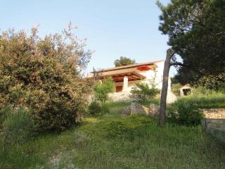 Apartment in Primosten - Sibenik Riviera 36432 - 7