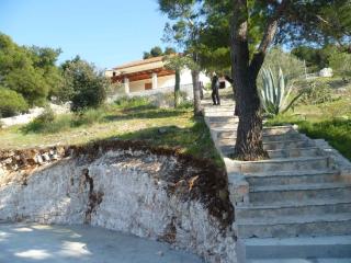 Apartment in Primosten - Sibenik Riviera 36432 - 3