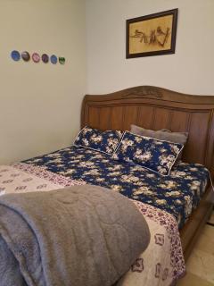 Zia Ullah Guest House - 0