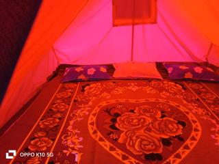 Front view campsite - 1