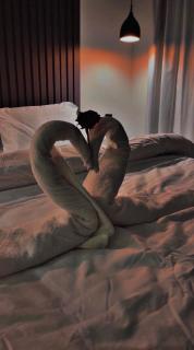 شاليهات سمو بارك - 2