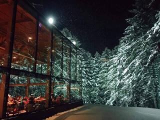 星野度假村Village Alpha Tomamu复式公寓套房 - 8