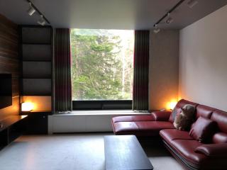 星野度假村Village Alpha Tomamu复式公寓套房 - 1