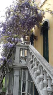 Villino Lamberto - Lido di Venezia - 5