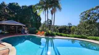 Bellbird Escape - Listen To The Bellbirds - 1